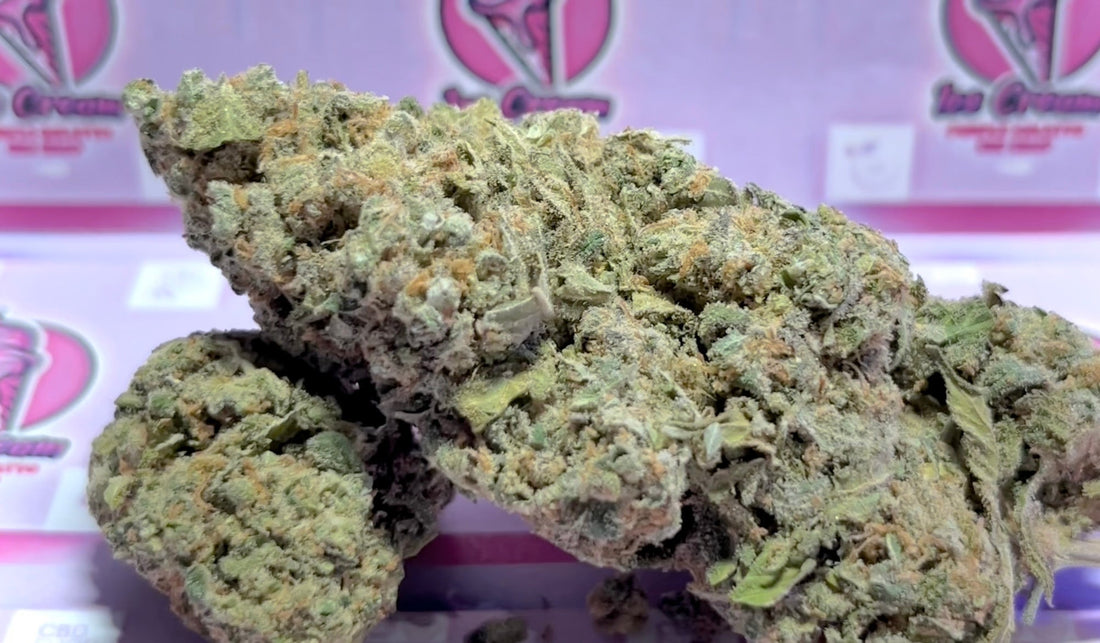 Efectos del CBD: Beneficios y Usos en España